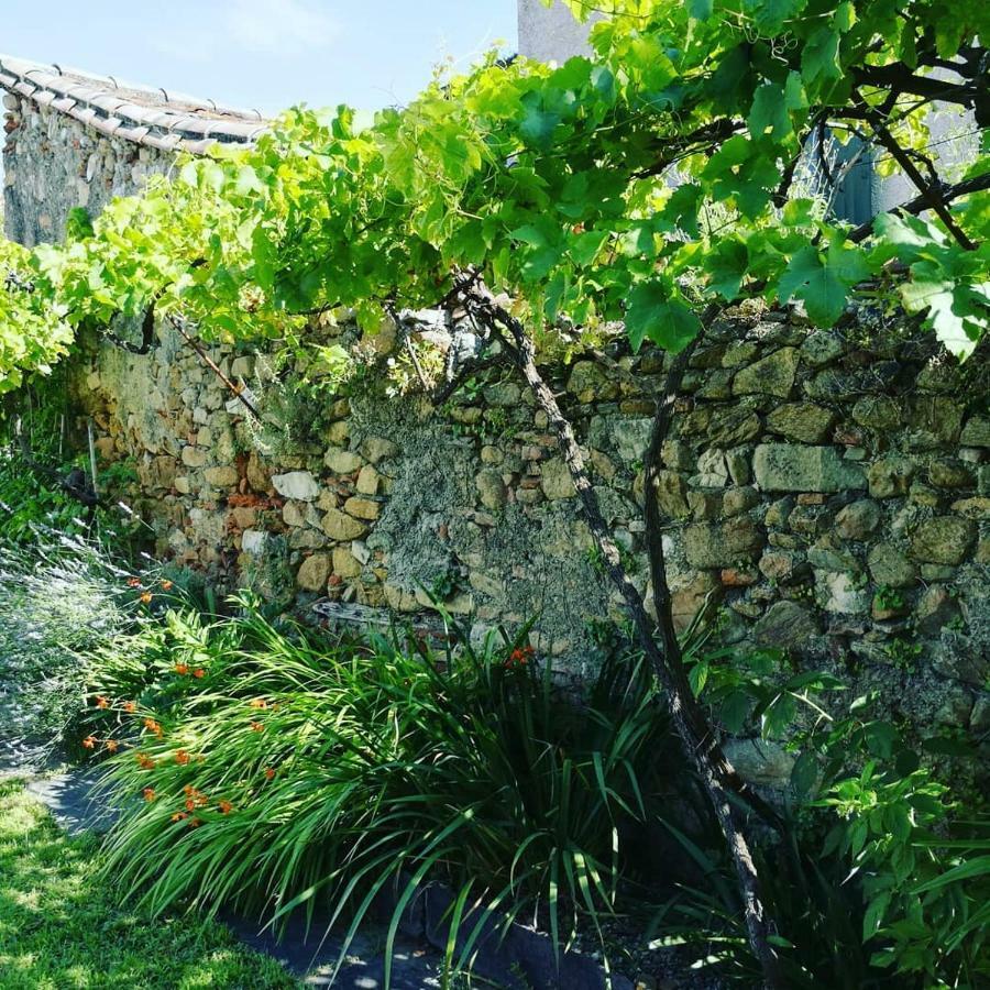 Gite Maison De L'Abbe Sorèze Eksteriør bilde