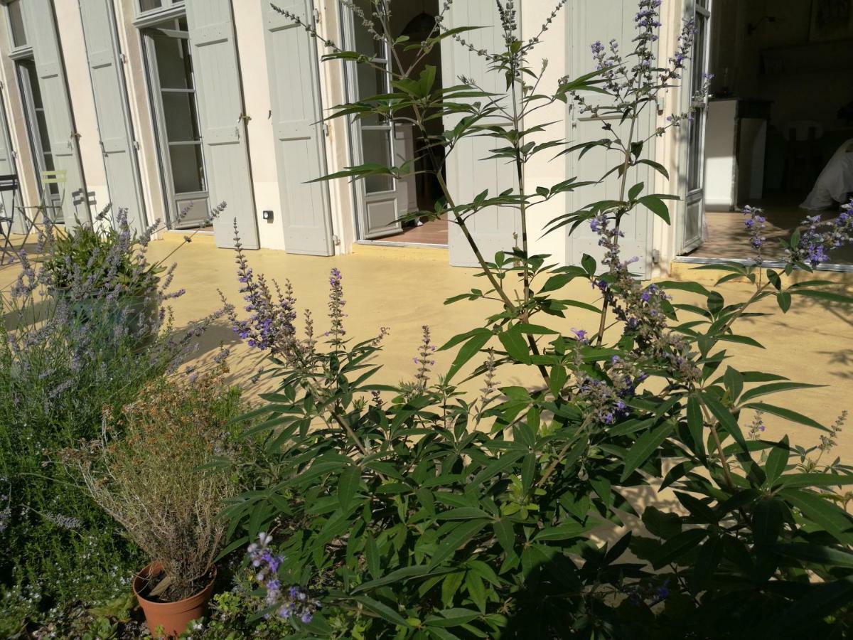 Gite Maison De L'Abbe Sorèze Eksteriør bilde